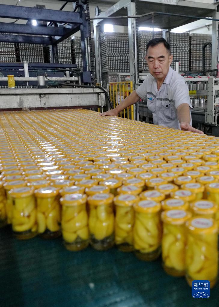 老虎机娱乐送彩金
